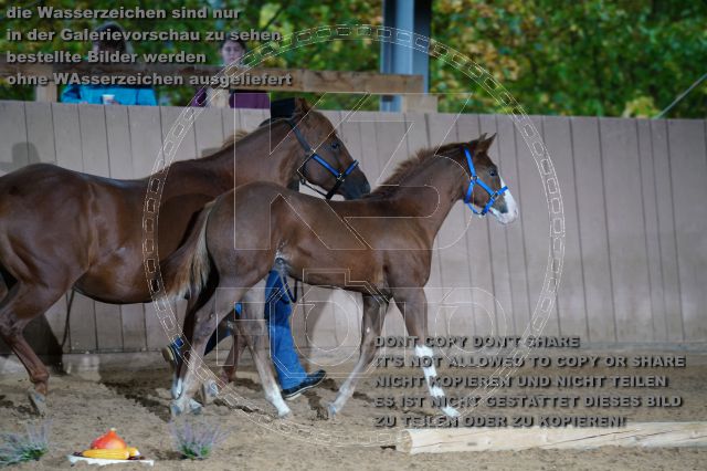s_K3F04915.JPG